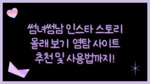 썸녀썸남 인스타 스토리 몰래 보기 – 염탐 사이트 추천 및 사용법까지!